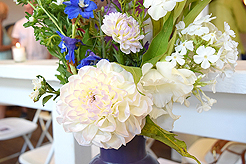 CELEBRATION OF LIFE LIVED FULLY